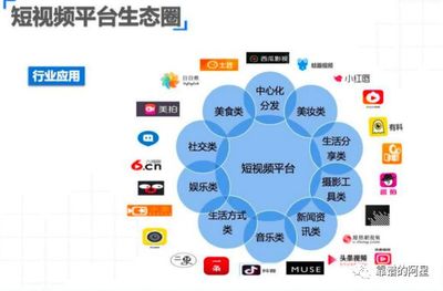 破解增量難題，移動互聯網步入SDPA時代 社交媒體行業的新航向